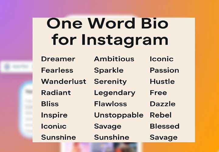 one word catchy bio for instagram